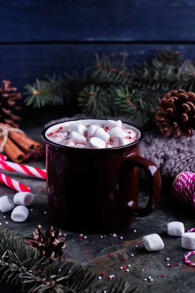 Hot Chocolate with Marshmallows — Stock Photo, Image