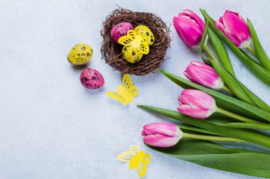 Buket laleler ve yuvaya taş mavi arka plan üzerinde renkli bıldırcın yumurtası