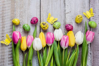 Lale ve renkli bıldırcın Paskalya kompozisyonu eski püskü ahşap arka plan üzerinde yumurta
