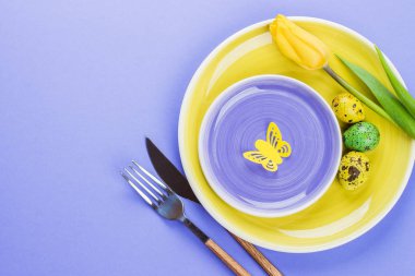 Paskalya sofra bahar laleler, renkli bıldırcın yumurtası ve mor zemin üzerine