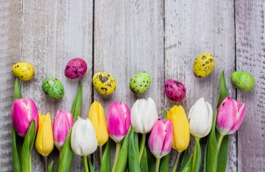 Lale ve renkli bıldırcın Paskalya kompozisyonu eski püskü ahşap arka plan üzerinde yumurta