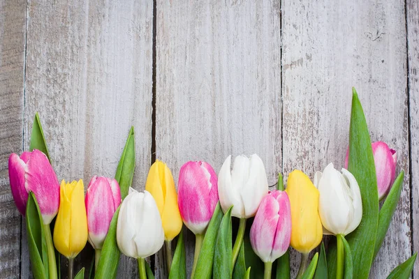 Tulipas Coloridas Frescas Fundo Madeira Gasto — Fotografia de Stock