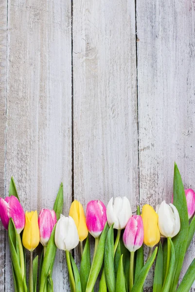 Свежие Красочные Тюльпаны Потрепанном Деревянном Фоне — стоковое фото