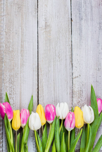 Свежие красочные тюльпаны на потрепанном деревянном фоне
