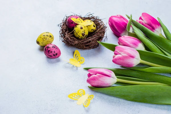 Аромат Тюльпанов Разноцветные Перепелиные Яйца Гнезде Голубом Фоне — стоковое фото