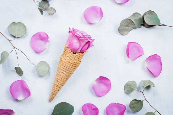 ワッフル コーンと背景にピンクのバラの花の組成物 静物のコンセプトです パステル ピンクのバラの花びらの花 ユーカリの葉 平面図 平面レイアウト — ストック写真