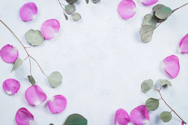 Ram Från Rosenblad Och Eukalyptus Grenar Vit Bakgrund Blommor Sammansättning — Stockfoto