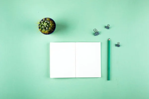 Creatieve platte lay-out van werkruimte bureau met cactus, potlood en open notebook met kopieerruimte achtergrond. Minimaal concept. — Stockfoto