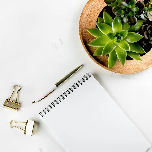 Weißer Femininer Home Office Arbeitsplatz Mit Saftigen Leeren Leeren Notizbüchern — Stockfoto