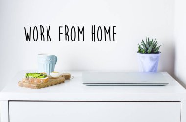 Laptoplu masa, avokadolu taze tost, bir kupa kahve ve Havortia. Ev ofisi, internet eğitimi, uzaktan çalışma, karantina, koronavirüs konsepti