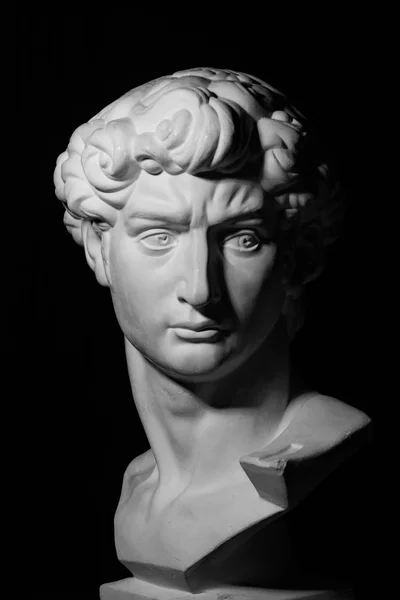 Michelangelo'nun David başkanı alçı