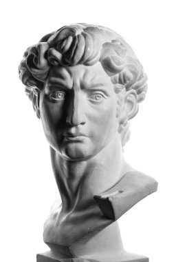 gypsum head of Michelangelo's David  clipart