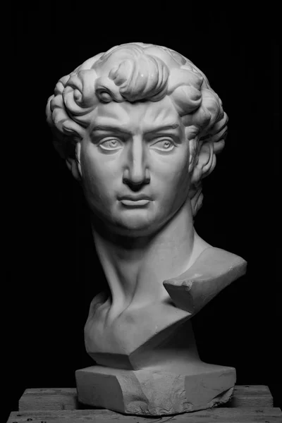 Michelangelo'nun David başkanı alçı 