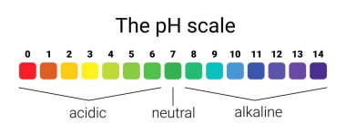 pH ölçeği. Infographic asit-baz dengesi. Kimyasal analiz asit baz için ölçek.