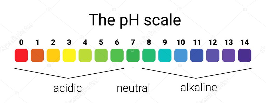 ph scale. infographic acid-base balance. scale for chemical analysis acid base.