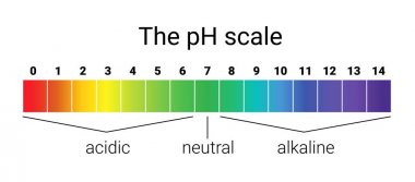 pH ölçeği. Infographic asit-baz dengesi. Kimyasal analiz asit baz için ölçek.
