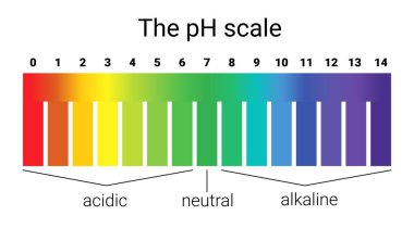 pH ölçeği. Infographic asit-baz dengesi. Kimyasal analiz asit baz için ölçek.