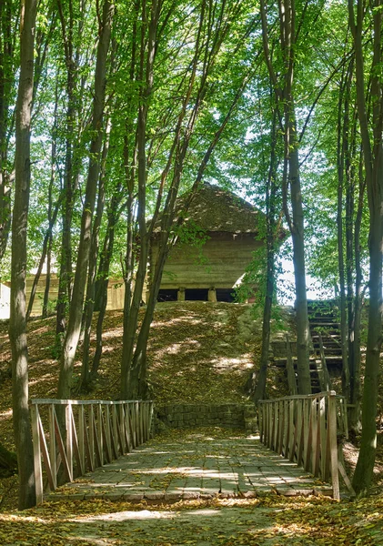 Пейзаж с деревянным мостом через овраг в лесу — стоковое фото