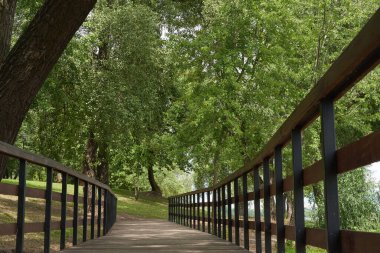 Parktaki ahşap köprü. Baharda güneşli bir günde manzara
