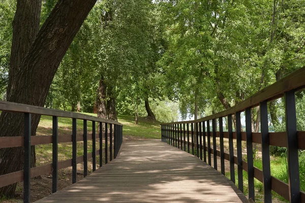 Деревянный Мост Парке Пейзаж Весенний Солнечный День — стоковое фото