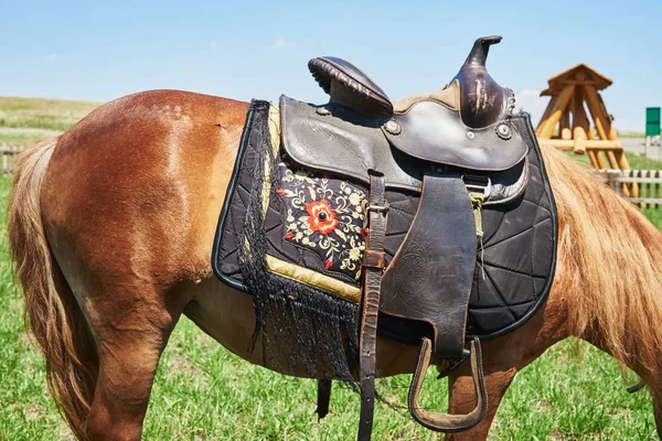 Sella Occidentale Cavallo Decorato Con Bellissimo Ornamento — Foto Stock