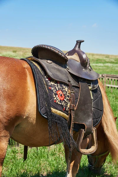 美しい装飾が施された馬のための西洋の鞍 — ストック写真