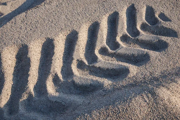 Ίχνη Από Ίχνη Ελαστικών Χαλαρό Χώμα Στις Ακτίνες Του Ήλιου — Φωτογραφία Αρχείου