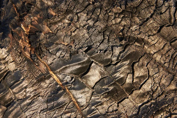 Kalın Bir Ağacın Boylamsal Bir Bölümünün Karbonlaşmış Yüzeyi Arkaplan Doku — Stok fotoğraf