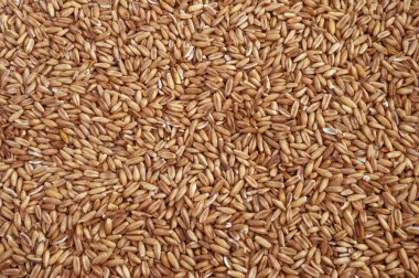 Doğal kuru yulaf taneleri arka plan