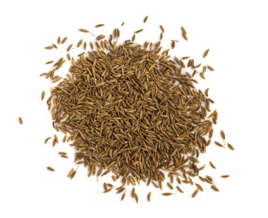 Kimyon veya zira tohum yığını