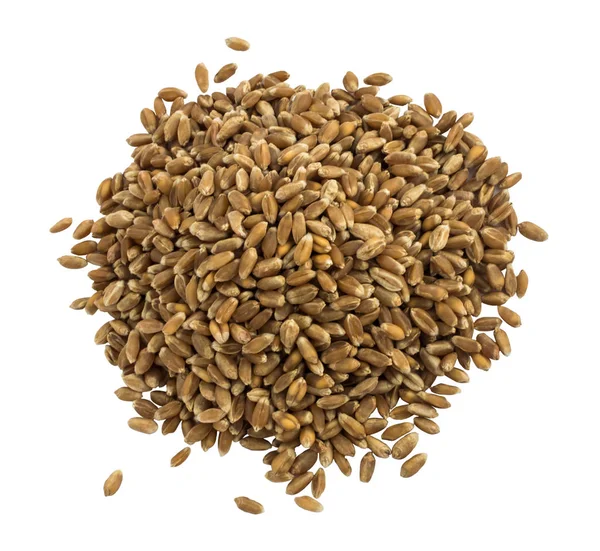 Куча или куча сухих зерен пшеницы изолированы — стоковое фото