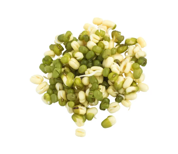 白地に緑の緑豆を発芽 — ストック写真