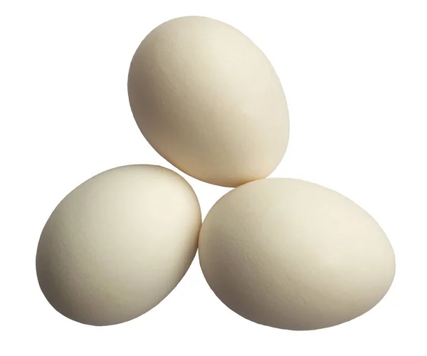Tres huevos blancos aislados en blanco — Foto de Stock