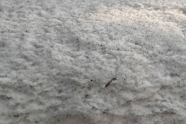 Šedá roztál sníh na zemi brzy na jaře — Stock fotografie