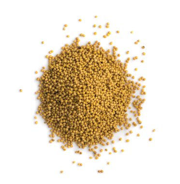 Hardal tohumu Üstten Görünüm