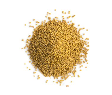 Hardal tohumu Üstten Görünüm