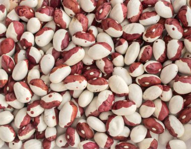 Kuru Pinto fasulye Backgrpund