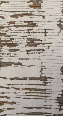 Eski ahşap eski püskü doku