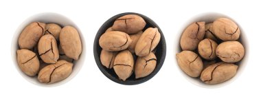 Bütün tatlı Fried pekan somun veya Carya Illinoinensis ile izole kırık deniz hayvanı kabuğu