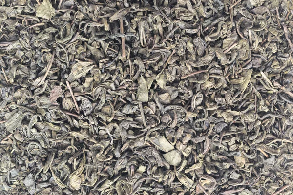 Suchý zelený čaj listy pozadí — Stock fotografie