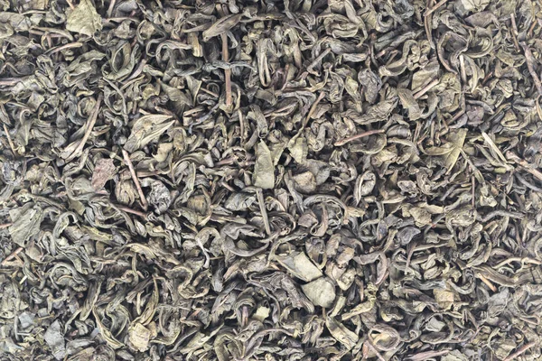 Té verde seco deja fondo — Foto de Stock