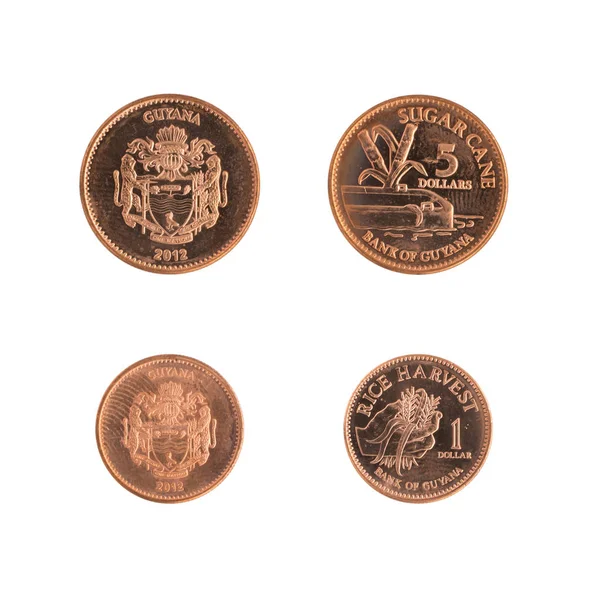 한 5 달러 가이아나 동전 — 스톡 사진