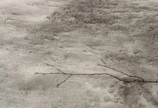 회색 이른 봄에서 바닥에 눈이 녹아 — 스톡 사진