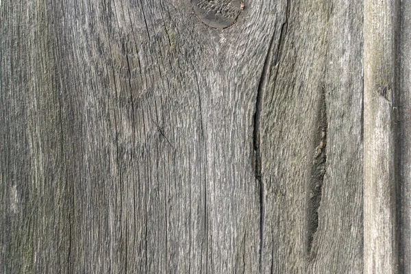 Tekstur Shabby Lama Wooden — Stok Foto