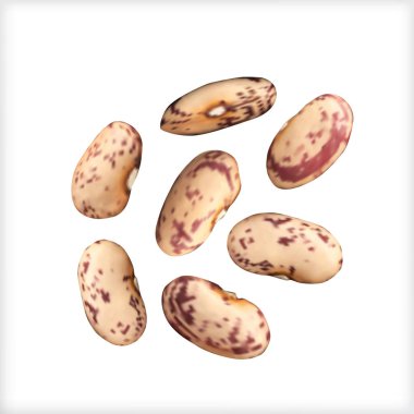 İzole vektör fasulye Kuru