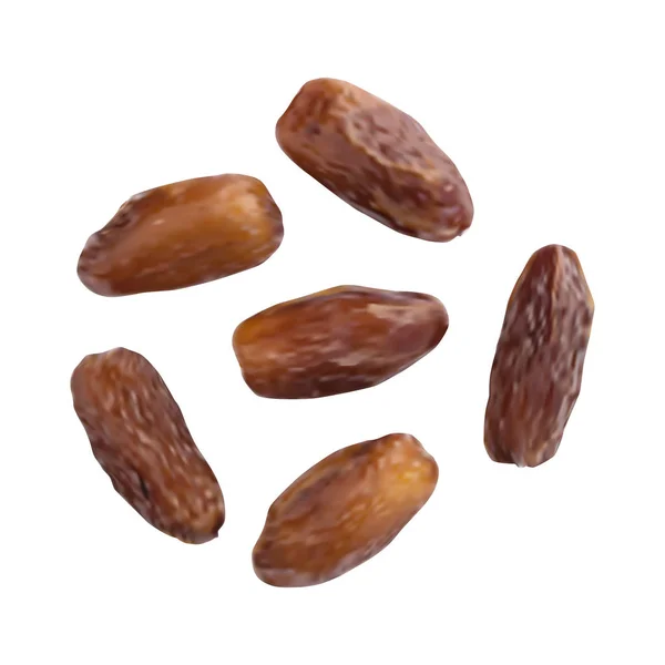 Dried Dates Isolated on White Background Vector Illustration — Stock Vector