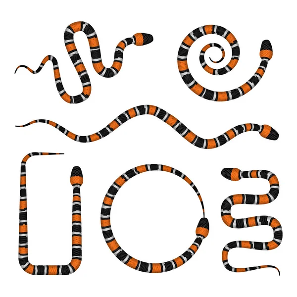 산호 뱀 또는 Micrurus의 3d 그림 흰색 절연 벡터 — 스톡 벡터