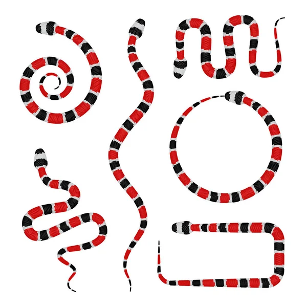矢量的珊瑚蛇或 Micrurus 的 3d 图白色孤立 — 图库矢量图片