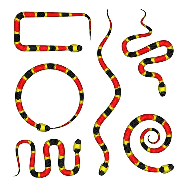Vector 3d Ilustración de serpiente de coral o micrurus aislado en blanco — Archivo Imágenes Vectoriales