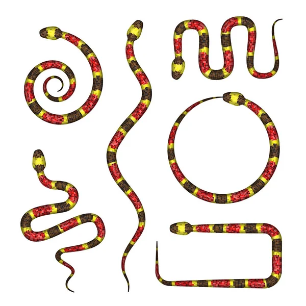 산호 뱀 또는 Micrurus의 3d 그림 흰색 절연 벡터 — 스톡 벡터